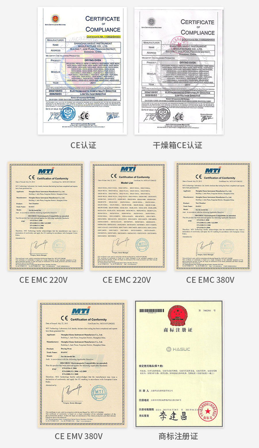 電熱恒溫鼓風(fēng)干燥箱（300度）